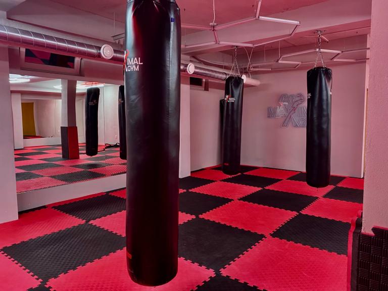 maximal_gym