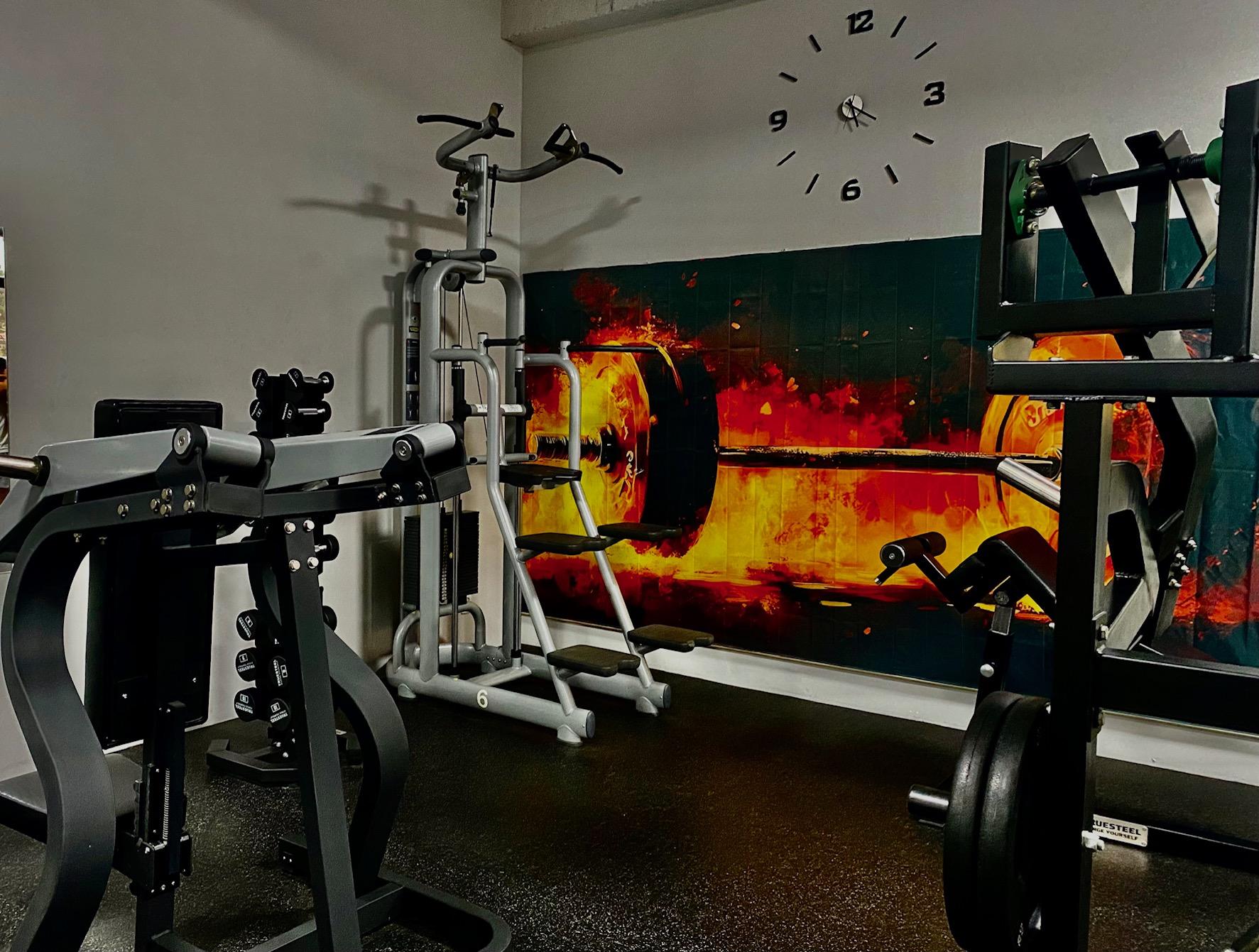 maximal_gym